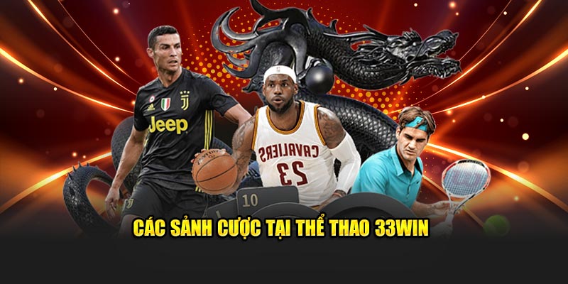 Các sảnh cược tại thể thao 33WIN