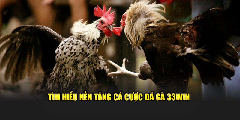 Tìm hiểu nền tảng cá cược đá gà 33win